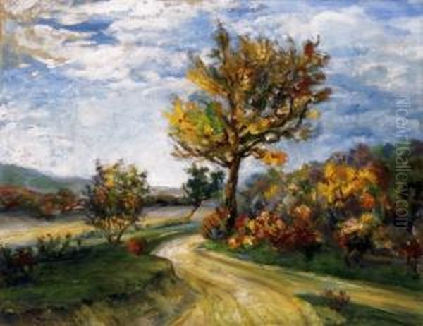 Autumn Landscape In Nagymaros - view 1