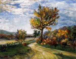 Autumn Landscape In Nagymaros