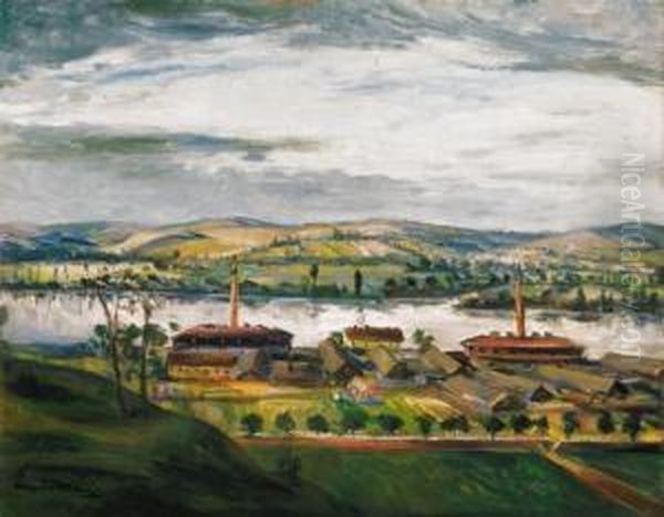 Landscape By The River Danube - view 1