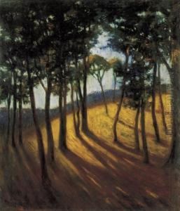 Grove In A Sunny Afternoon by Josef Karoly Kernstok