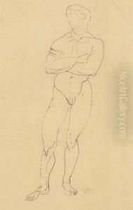 Nude Of A Man