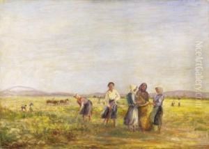In The Field In The Field