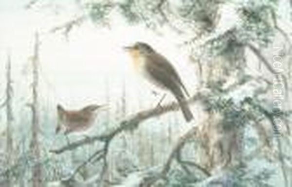 A Robin And A Wren On A Branch; A
Tropical Bird; An Exotic Finch; Mallards Put To Flight By A Falcon; A
Lapwing With Young - view 1