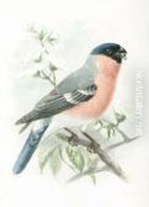 A Collared Dove By A Nest; A
Bearded Tit; A Humming Bird; A Bullfinch; A Reed Warbler At A Nest by Johan Gerard Keulemans