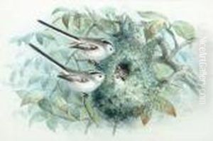 Redpolls At A Nest; Long-tailed
Tits At A Nest; A Parakeet; Turtle Doves At A Nest; Blackcaps At A Nest by Johan Gerard Keulemans