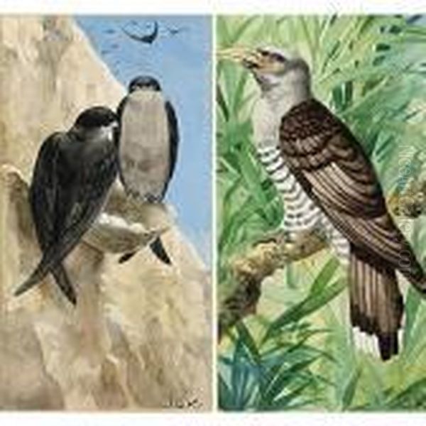 Birds - view 1