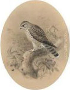 A Merlin On A Branch by Johan Gerard Keulemans