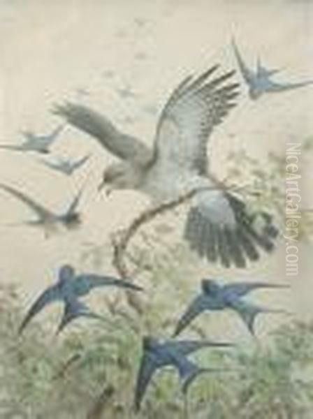 Swallows Mobbing A Cuckoo - view 1