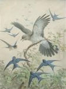 Swallows Mobbing A Cuckoo
