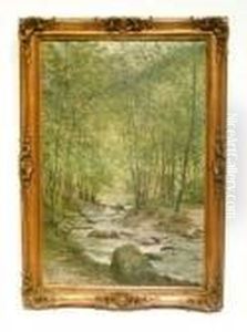 "riviere
Dans
Un
Sous-bois by Vital Keuller