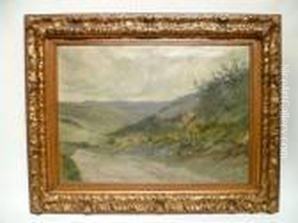 Paysage - view 1
