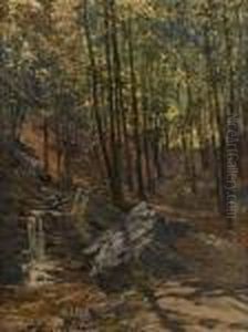 Chemin Ensoleille A Spa, La Sauveniere by Vital Keuller