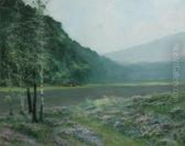 Hilly Landscape Near The Water - view 1