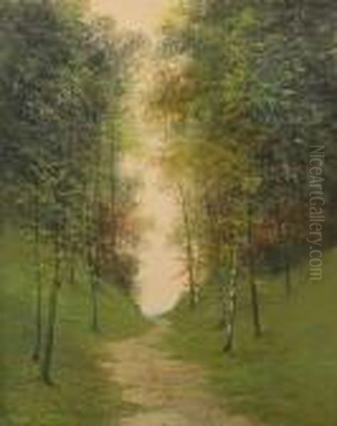 Birch Woodland - view 1