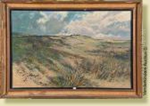 Paysage De Dunes - view 1