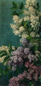 Still Life Of Lilac by John Ross Key