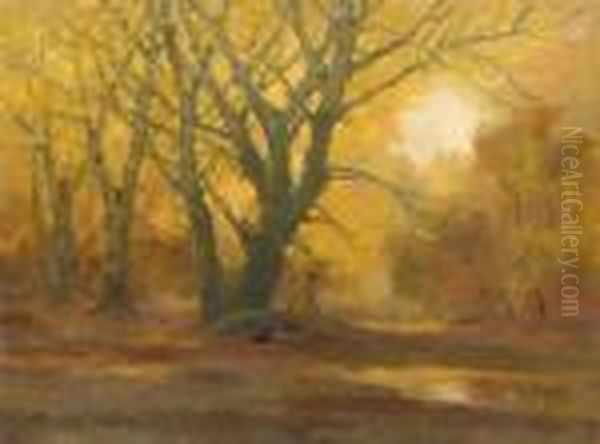 Aranylo Osz - view 1