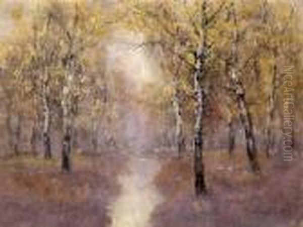 Oszi Erdo - view 1