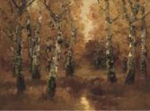 Forrest Light by Lazlo Kezdy Kovacs