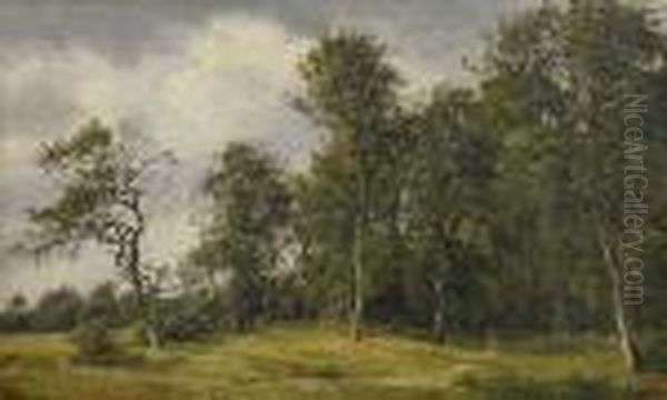 Promenade En Foret - view 1