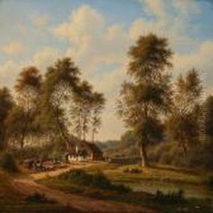 Forest Clearing