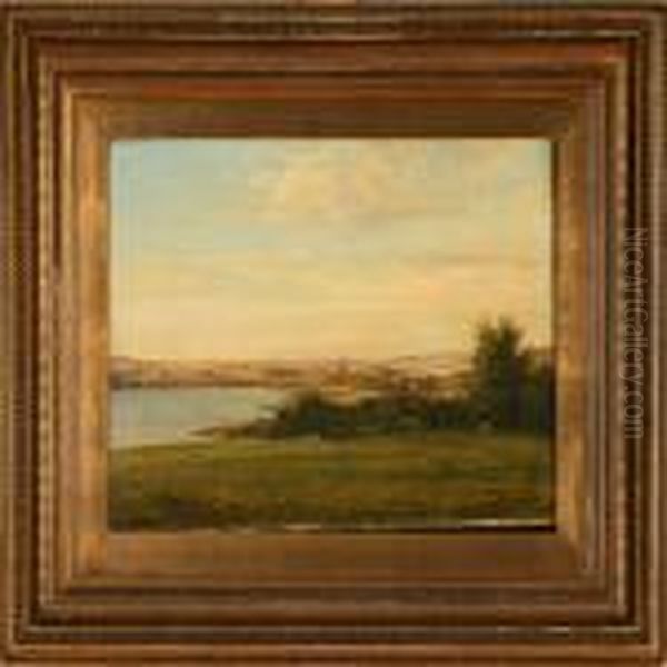 Summer Landscape Witha View Of Haderslev, Denmark - view 1