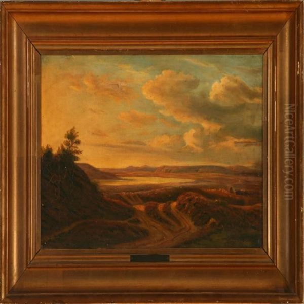 Moor Landscape - view 1
