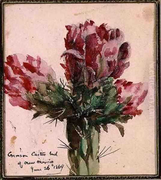 Crimson Cactus Bud of New Mexico, 1869 - view 1