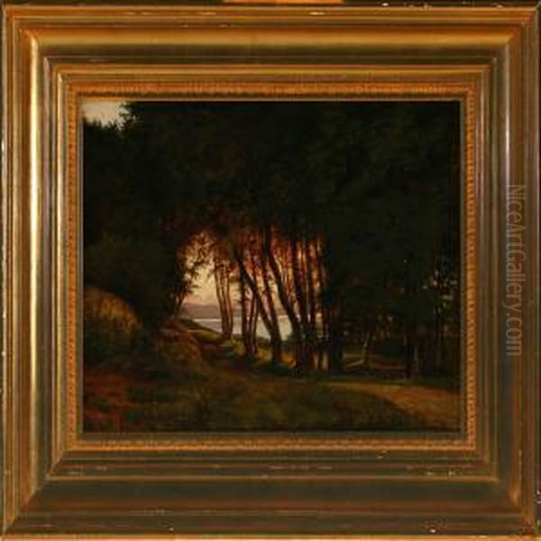 Study Of The Forrest At Fureso, Evening - view 1