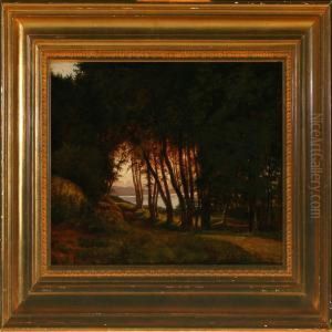 Study Of The Forrest At Fureso, Evening by Anton Edvard Kieldrup
