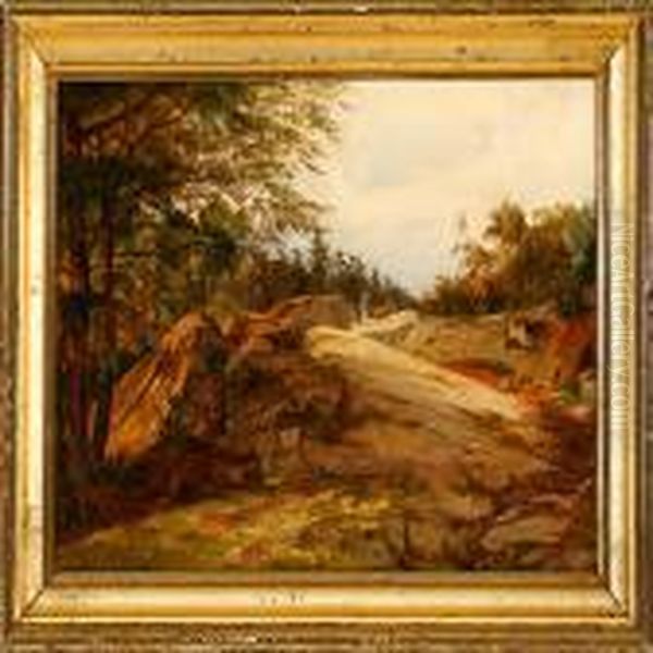 Forest Scene Frombornholm Island - view 1