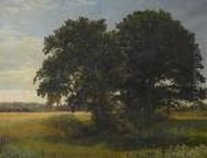 The Old Oak, West Belmont