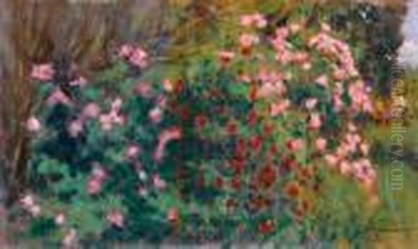 Rosaio In Fiore - view 1