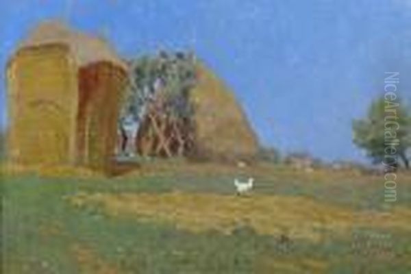 Luglio (l'aia Della Colonica) - view 1