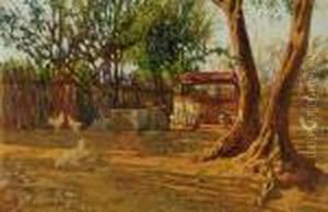 Vecchi Ulivi by Giorgio Kienerk