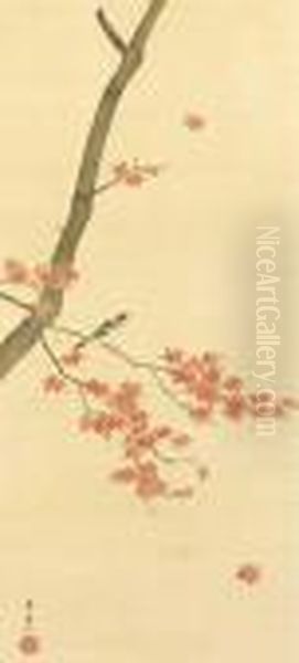 Sparrow And Maple Tree - view 1
