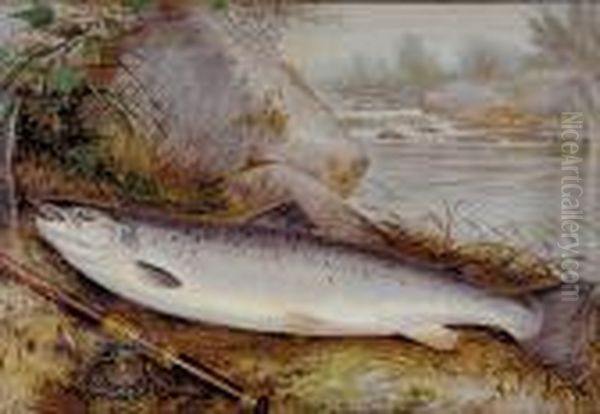 Fish Still Life - view 1