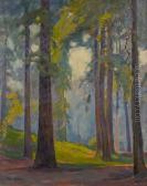 Sunlight Through The Trees - view 1
