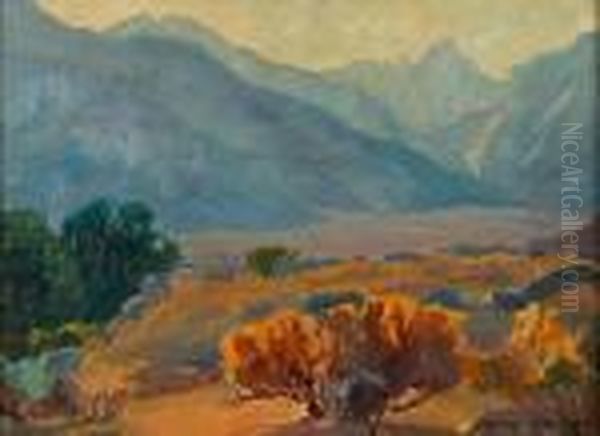 The Golden Bush - view 1