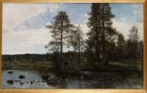Skogsbrynet