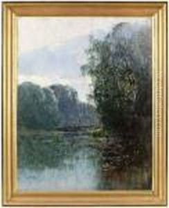 Parklandskap