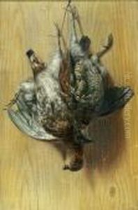 Quail Quail