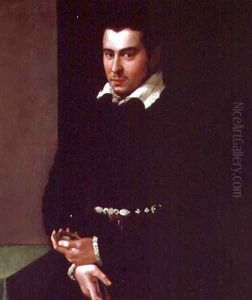 Portrait of a Member of the Scarlatti Family by Jacopino del Conte