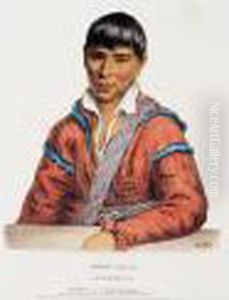 Paddy - Carr, Creek Interpreter
