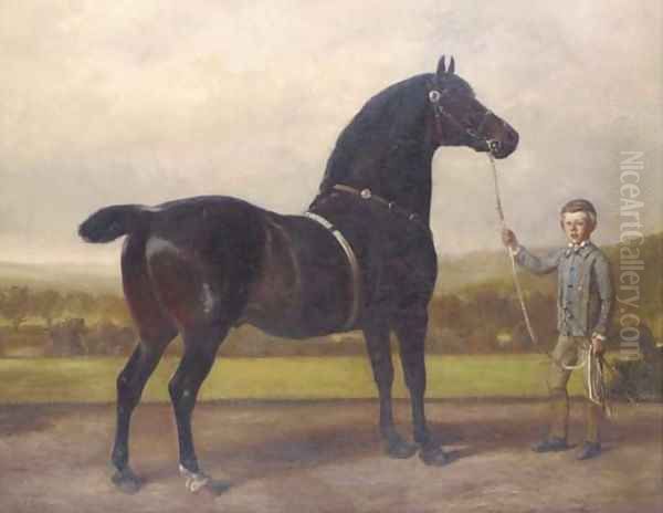 Greatshot, held by a groom - view 1