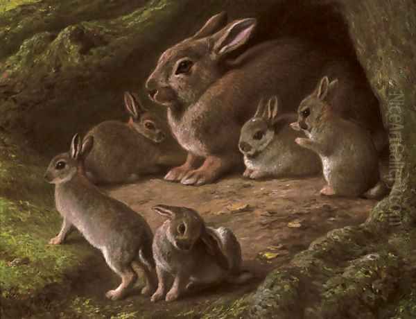 Rabbits in a wood - view 1