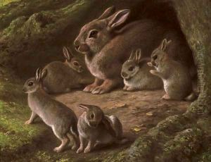 Rabbits in a wood