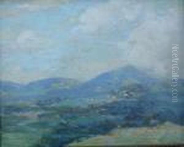 Midsummer, Adirondacks - view 1