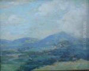 Midsummer, Adirondacks by Paul King