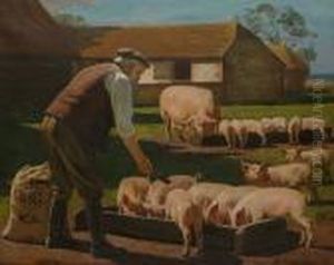 Feeding The Pigs With Bibby Pig Meal.